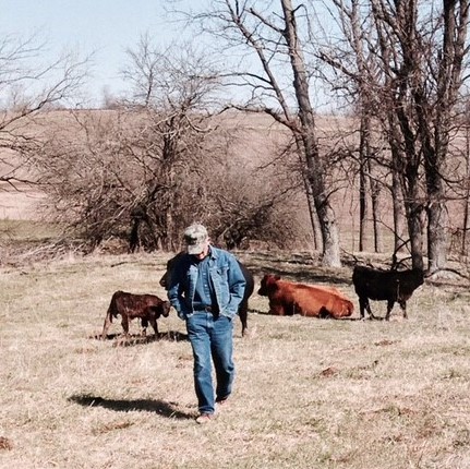 dad with cows